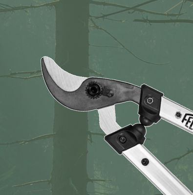 Loppers & Secateurs