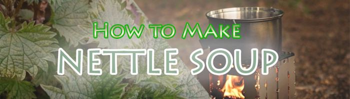 Nettle Soup Recipe
