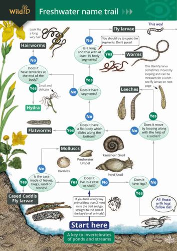 FSC Field Guide to Freshwater Life